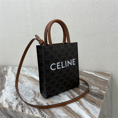 Celine Mini Vertical Cabas In Triomphe Canvas And Calfskin Tan With Celine  Print