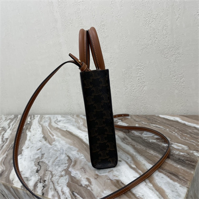 Celine Mini Vertical Cabas In Triomphe Canvas And Calfskin Tan With Celine  Print