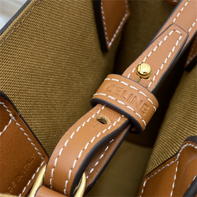 Celine Mini Vertical Cabas In Triomphe Canvas And Calfskin Tan With Celine Emb