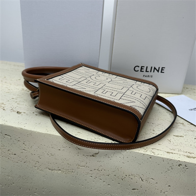Celine Mini Vertical Cabas In Textile With  Celine All Over Print Nature/Tan