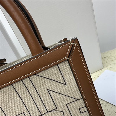 Celine Mini Vertical Cabas In Textile With  Celine All Over Print Nature/Tan