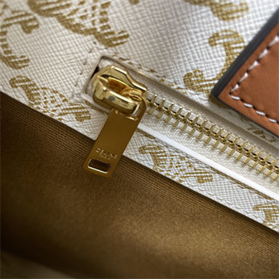 Celine Small Vertical Cabas In Triomphe Canvas And Calfskin With Celine Print White