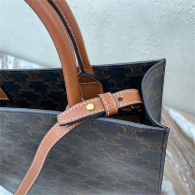 Celine Small Vertical Cabas In Triomphe Canvas And Calfskin With Celine Print Tan