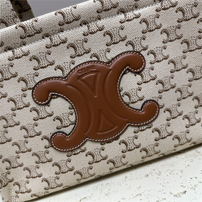 Celine Small Cabas Thais In Textile With Triomphe Canvas Print And Calfskin