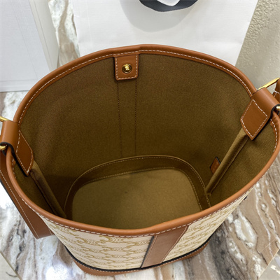 Celine SMALL Bucket In Triomphe Canvas And Calfskin White