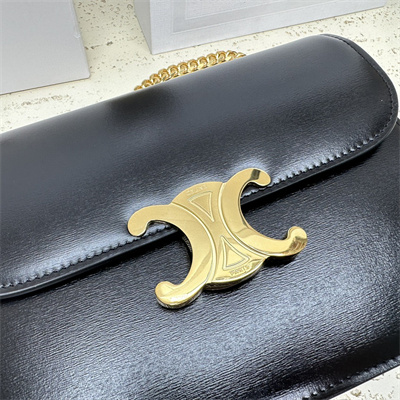 Celine Medium College Bag In Shiny Calfskin Black