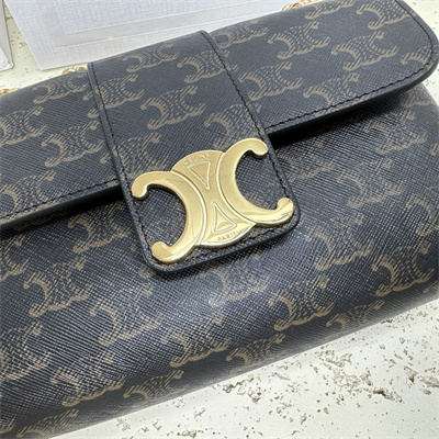 Celine Teen VICTOIRE Bag In Triomphe Canvas Tan