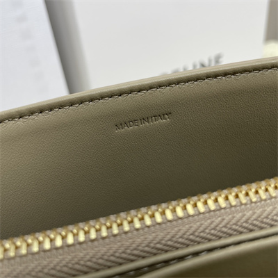 Celine Medium VICTOIRE Bag In Supple Calfskin Light Brown