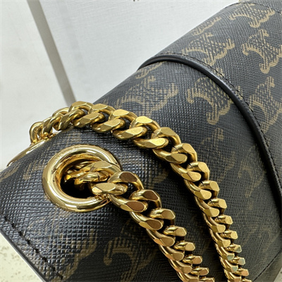 Celine Medium VICTOIRE Bag In Triomphe Canvas Tan