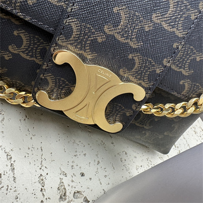 Celine Medium VICTOIRE Bag In Triomphe Canvas Tan