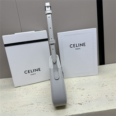 Celine Medium TILLY Bag In Shiny Calfskin White