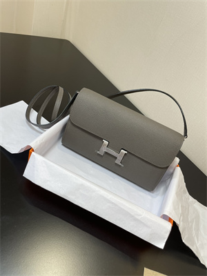 Constance To Go Wallet Epsom Leather Silver Tone Metal In Etain Color HS