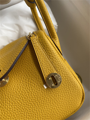 Lindy Mini Bag Taurillon Clemence Leather Gold/Silver Tone Metal In Jaune Amber Color HS