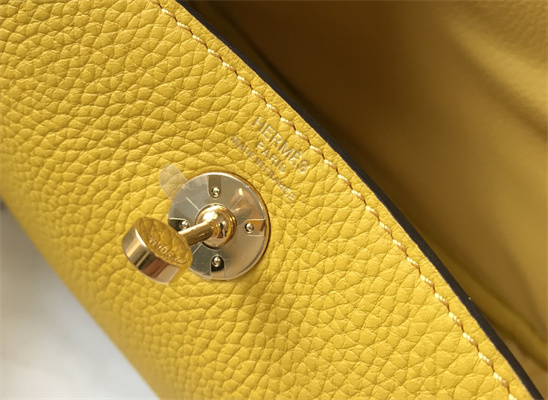 Lindy Mini Bag Calfskin Leather Gold/Silver Tone Metal In Jaune Amber Color