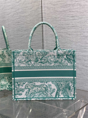 CD Medium Book Tote Toile de Jouy Embroidery Green