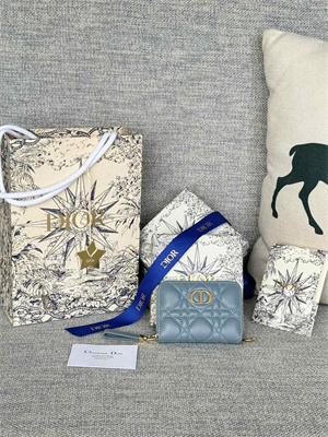 CD Caro Zippy Card Holder Supple Cannage Calfskin Blue Color S5034