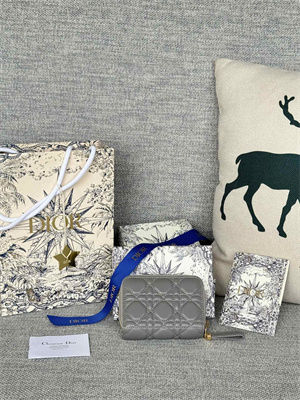 CD Caro Scarlet Wallet Supple Cannage Lambskin Grey S5032