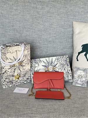 CD Long Saddle Wallet With Chain Grained Calfskin Orange Red