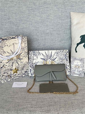 CD Long Saddle Wallet With Chain Grained Calfskin Grey