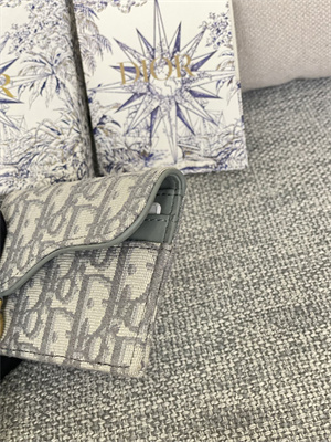 CD Saddle Card Holder Gray Dior Oblique Jacquard S5610