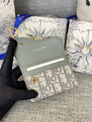 CD Saddle Card Holder Gray Dior Oblique Jacquard S5610
