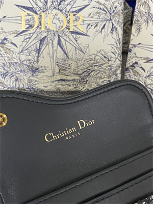 CD Saddle Card Holder Blue Dior Oblique Jacquard S5610