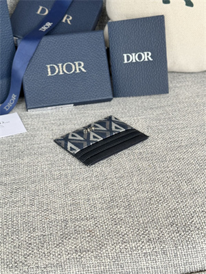 CD Card Holder Blue CD Diamond Canvas