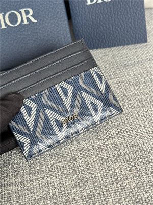 CD Card Holder Blue CD Diamond Canvas