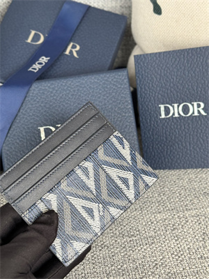 CD Card Holder Blue CD Diamond Canvas