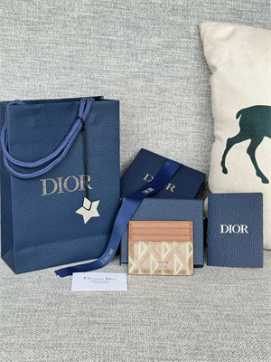 CD Card Holder Brown CD Diamond Canvas