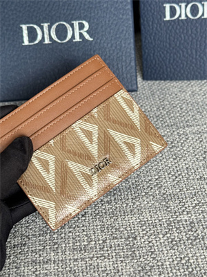 CD Card Holder Brown CD Diamond Canvas