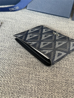 CD Wallet Blue CD Diamond Canvas