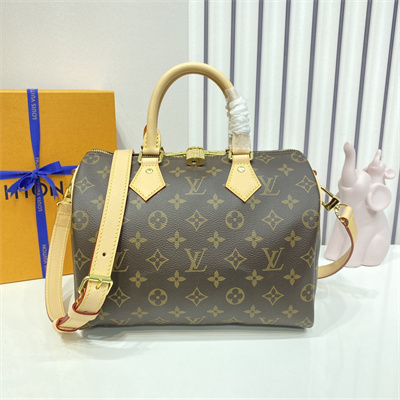 L.V Speedy Bandoulière 25 Monogram Canvas M41113
