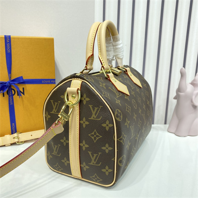 L.V Speedy Bandoulière 25 Monogram Canvas M41113