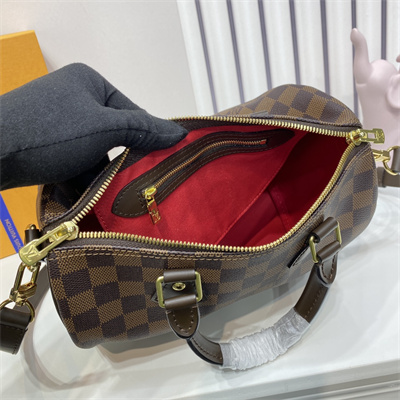 L.V Speedy Bandoulière 25 Damier Ebene N41368