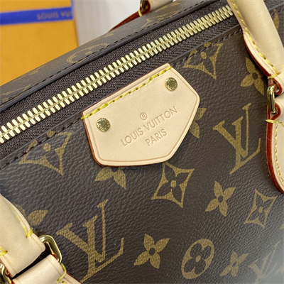 L.V Turenne MM Bag Monogram Canvas M48814