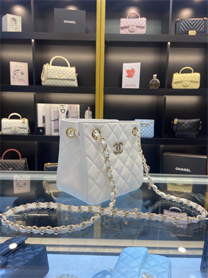 Cha.nel BUCKET BAG Grained Calfskin Gold-Tone Metal White AS3176