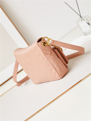 Chanel Hobo Handbag Shiny calfskin Gold Tone Metal Pink AS4743