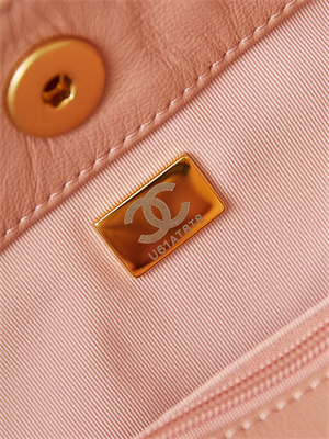 Chanel Hobo Handbag Shiny calfskin Gold Tone Metal Pink AS4743