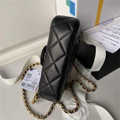 Chanel Mini Flap Bag With Top Handle Lambskin, Resin & Gold-Tone Metal Black Color AS4847