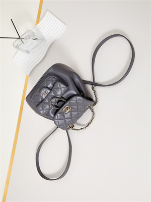 Cha.nel Duma Backpack Lambskin Gold Tone Metal Grey AS2908