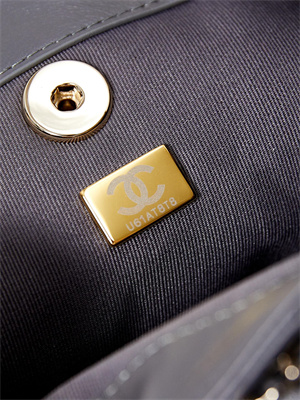 Cha.nel Duma Backpack Lambskin Gold Tone Metal Grey AS2908