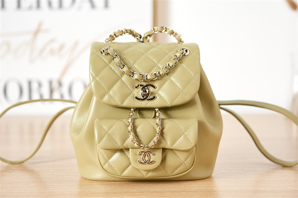 Cha.nel Duma Backpack Lambskin Gold Tone Metal Yellow AS2908
