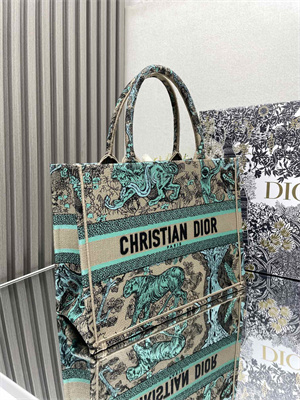 CD Medium Dioriviera Dior Book Tote Raffia with Aquamarina Toile de Jouy Sauvage Embroidery Green
