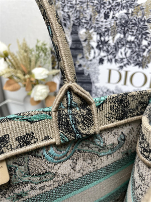 CD Medium Dioriviera Dior Book Tote Raffia with Aquamarina Toile de Jouy Sauvage Embroidery Green