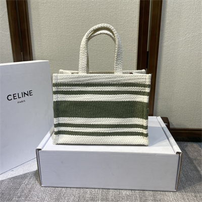 Celine Small Cabas Thais In Striped Textile With Calfskin White/Green