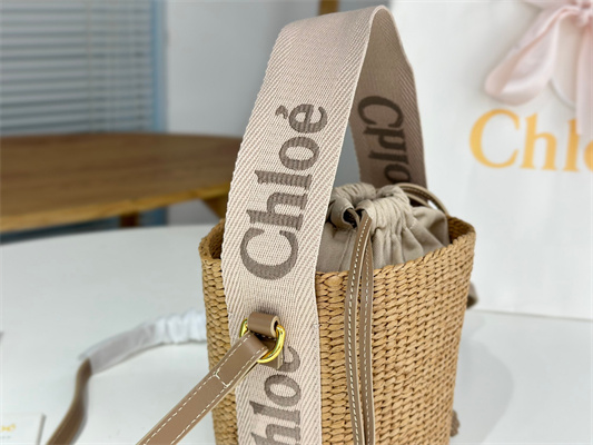 Chloe Small Woody Tote Bag In Nature Fibers 6865