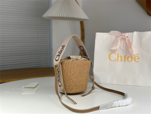 Chloe Small Woody Tote Bag In Nature Fibers 6865