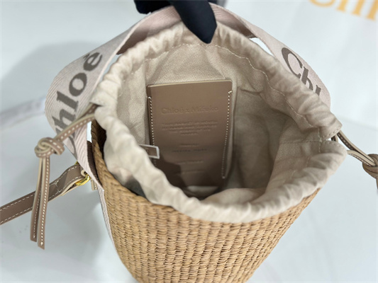 Chloe Small Woody Tote Bag In Nature Fibers 6865