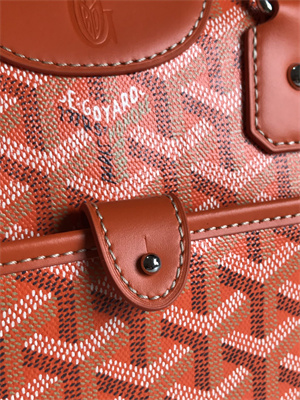 Goyard Saint Jeanne Medium Bowling Bag Orange